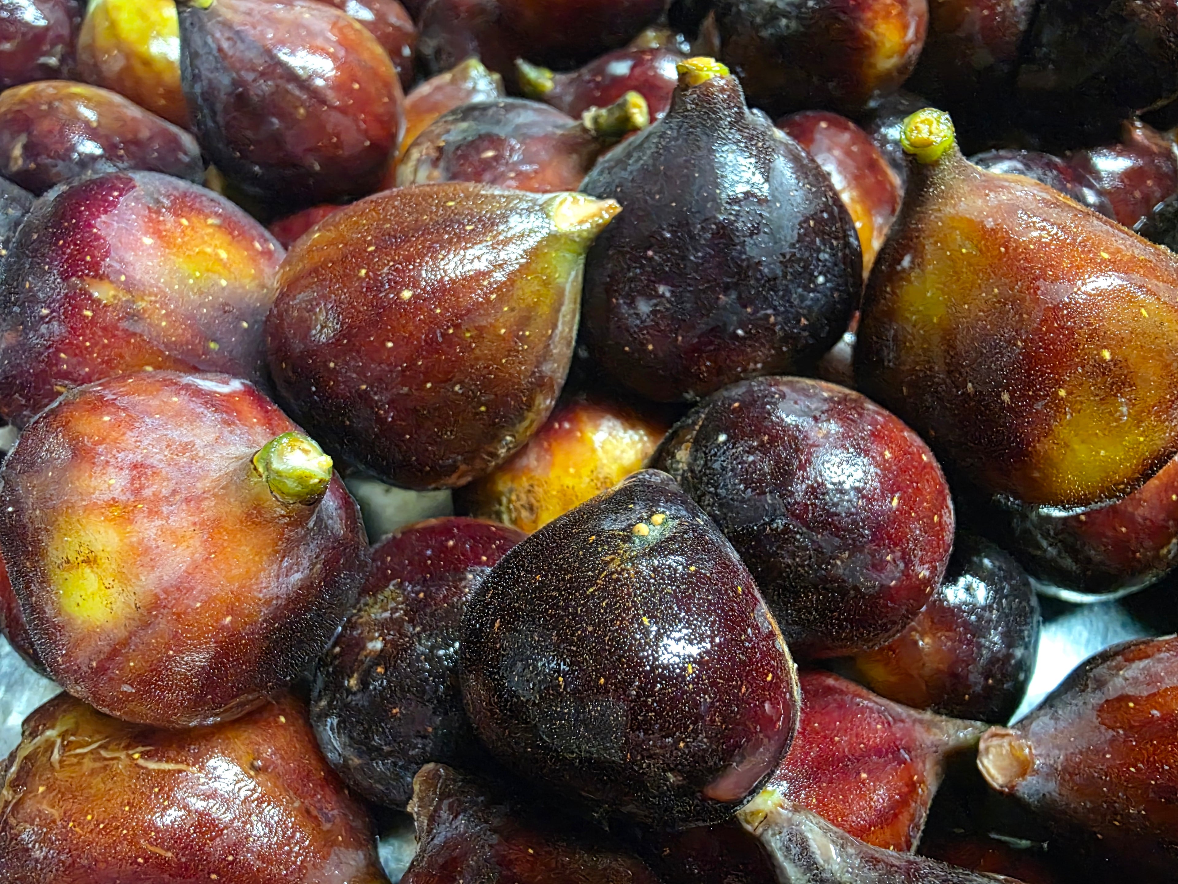 "Fig Preserves 8oz - handcrafted Texas preserves by Plum Krazy Creations"