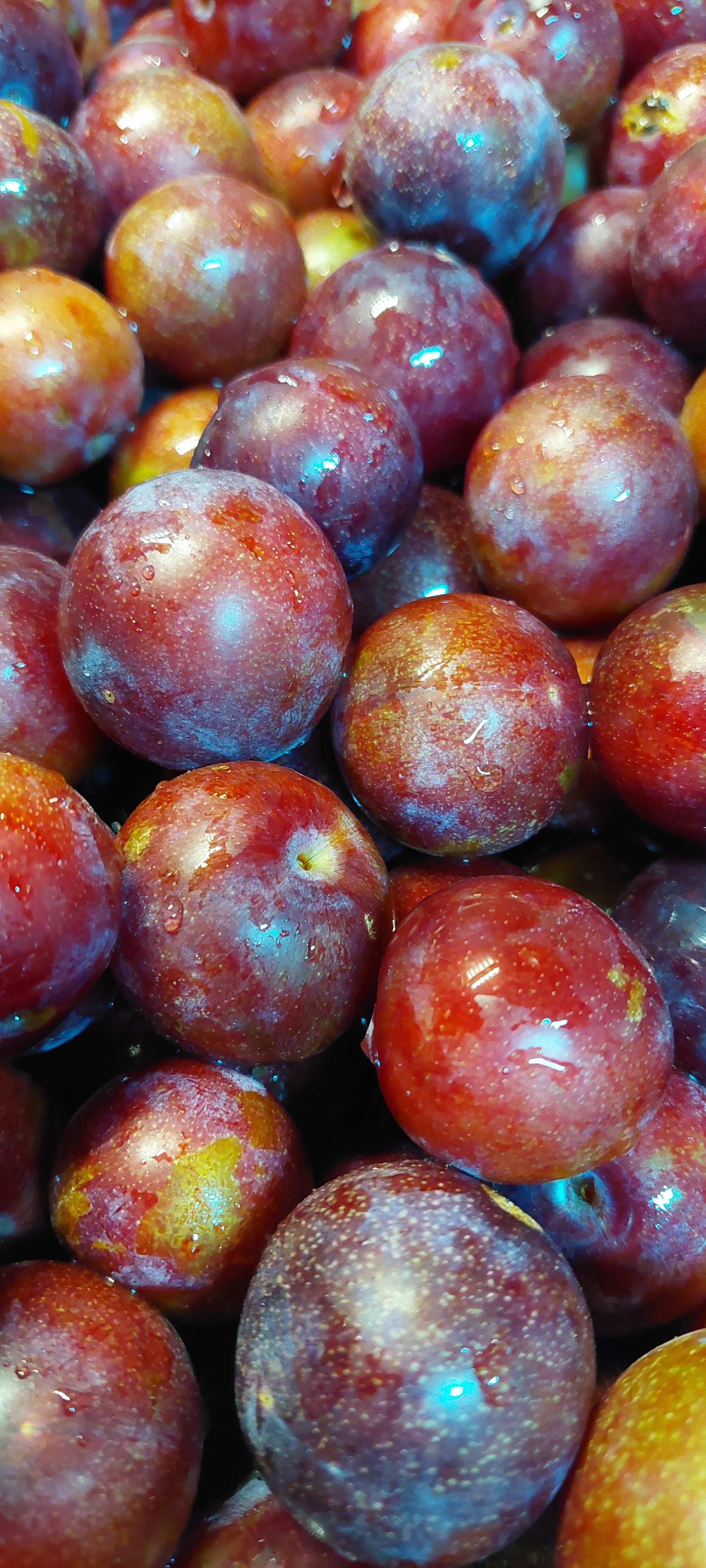 Plum Preserves - 8oz