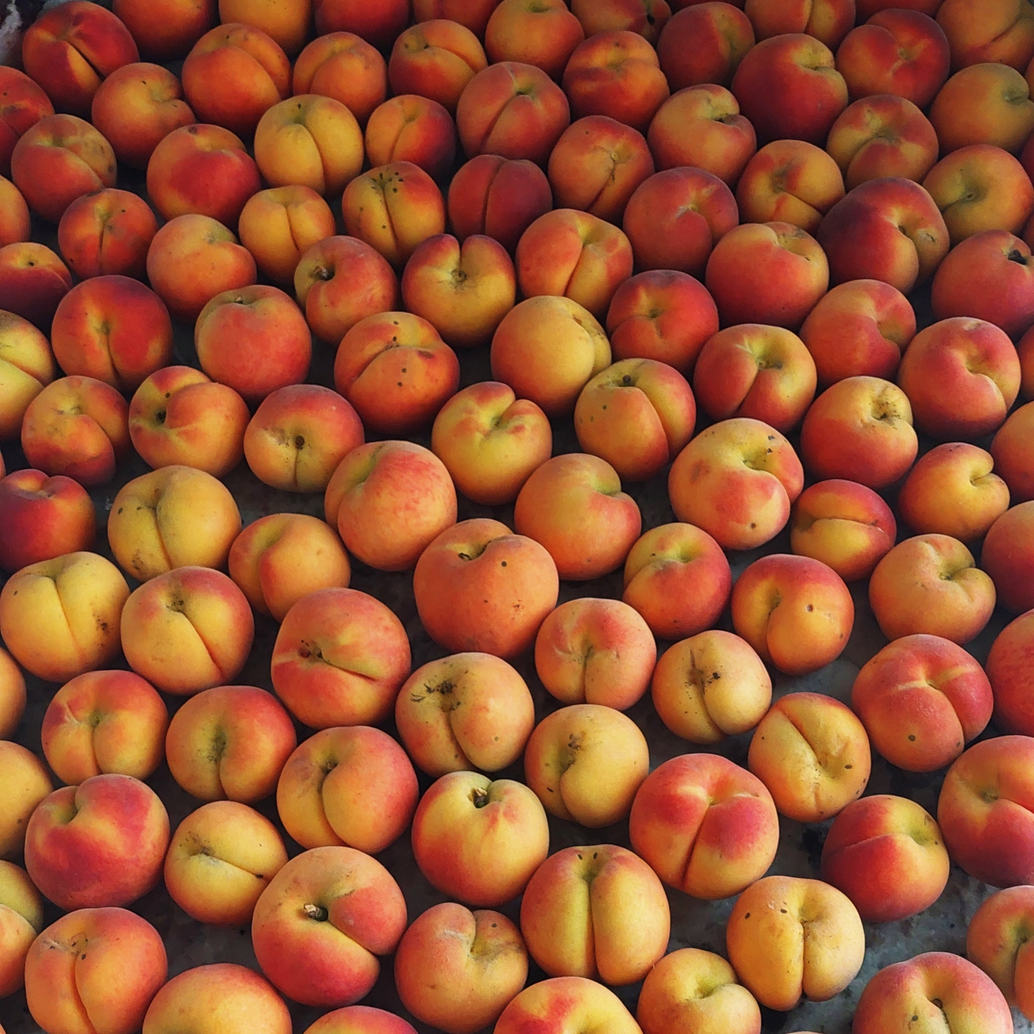 Peach Cider Preserves - 8oz