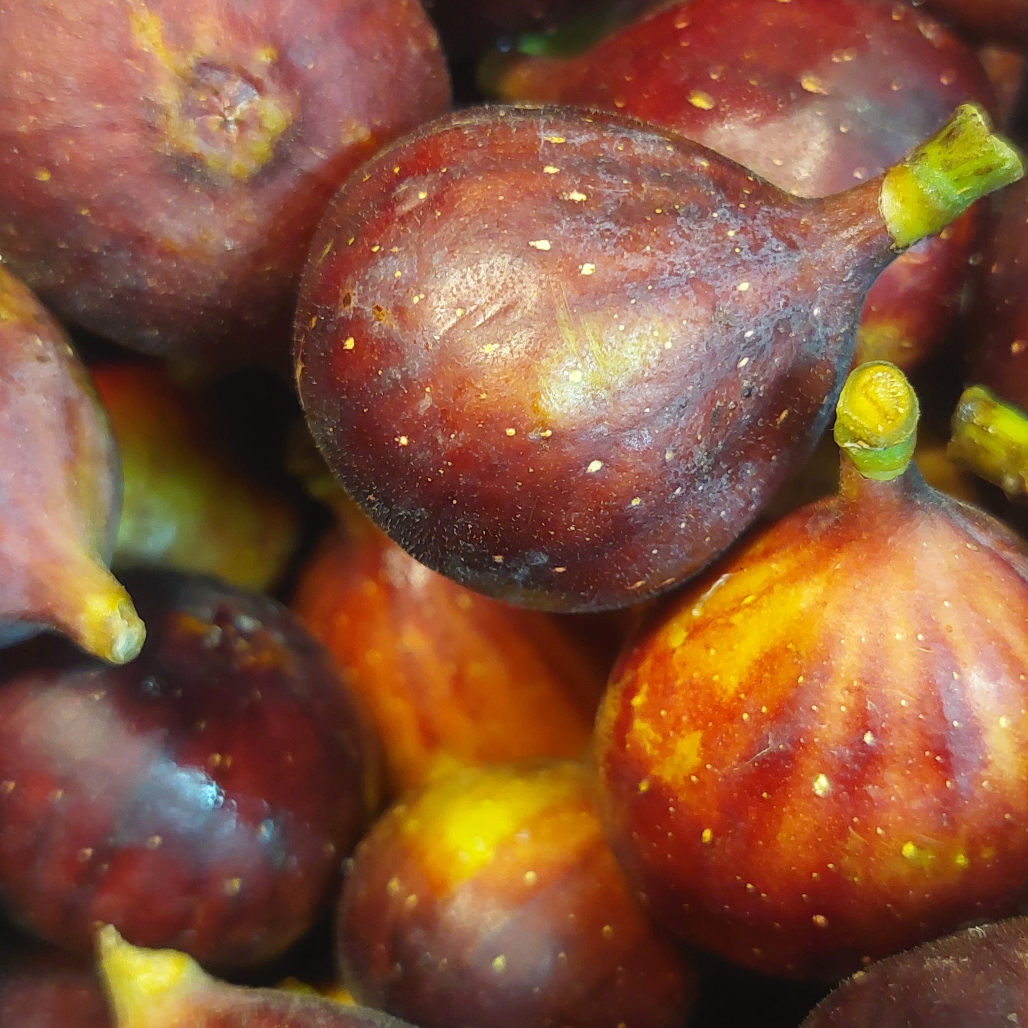 Fig Preserves - 8oz