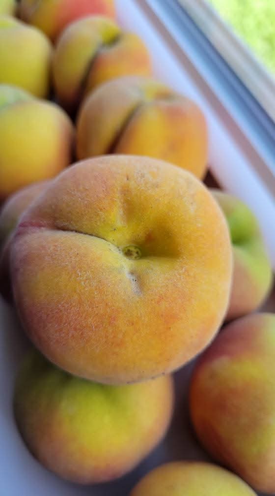 Peach Cider Preserves - 8oz